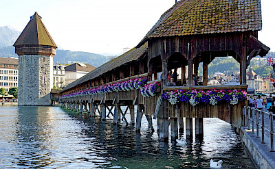 Chapel Bridge on Lake Lucerne in Lucerne, Switzerland. Flickr:Dennis Jarvis