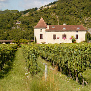Valle del Loira Foto