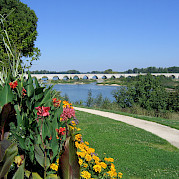 Vale do Loire - Orléans a Tours Foto