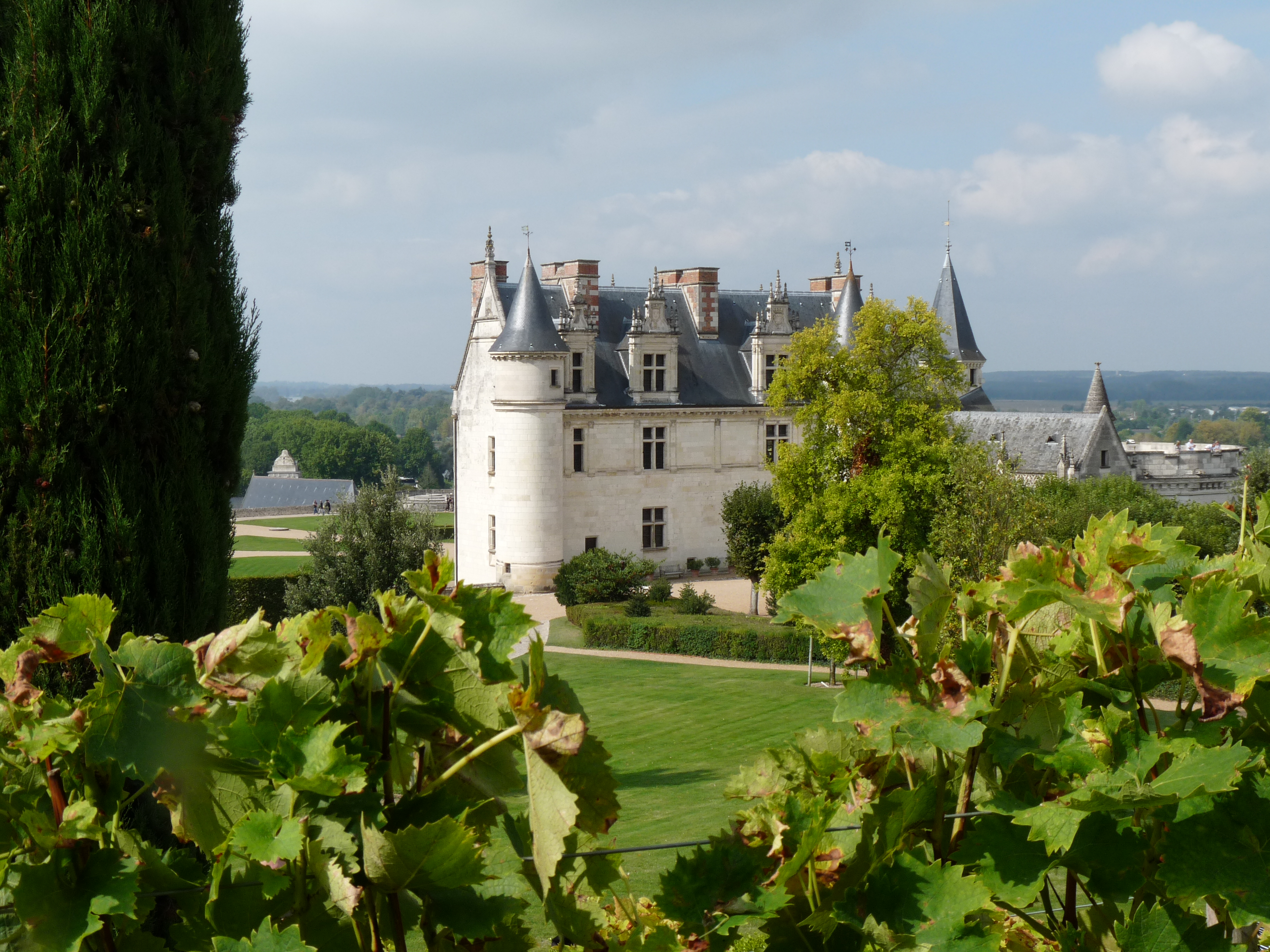 Image result for wine tasting loire valley