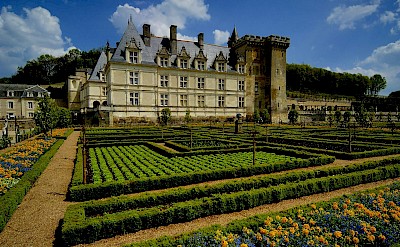 Château de Villandry. Unsplash@MaxwellAndrews