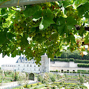 Loire Valley - Tours to Angers Photo