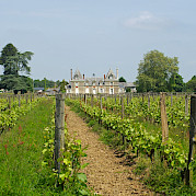 Vale do Loire - Angers a Le Croisic Foto