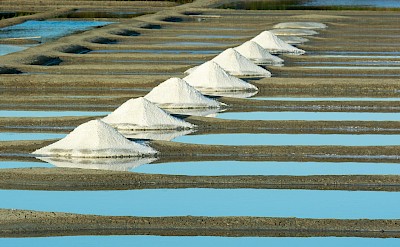 Salt Harvesting in Guérande. Pexels@JanVanDerWolf