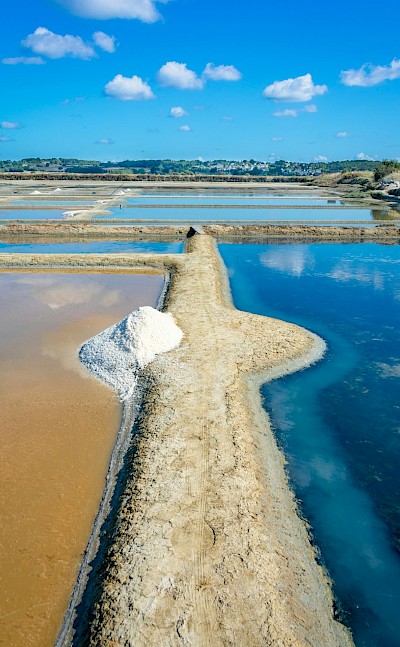 Traditional salt pans of Guérande. unsplash@SebastienGoldberg