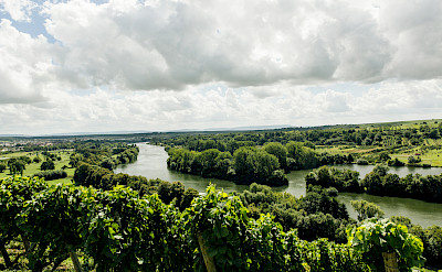 Vineyards in Volkach, Bavaria, Germany. Photo via Flickr:Markus Spiske
