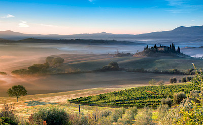 Vineyards, chateaux & foggy mornings in Italy. Flickr:Kyoncheng