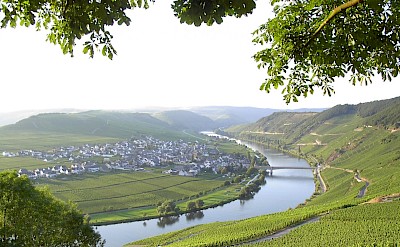 Mosel River Valley cycling at it's best! CC:Stefan.hermes