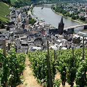Mosel Bike Tour - Mosel River Valley vineyards by Bernkastel-Kues, Germany. Flickr:Megan Mallen