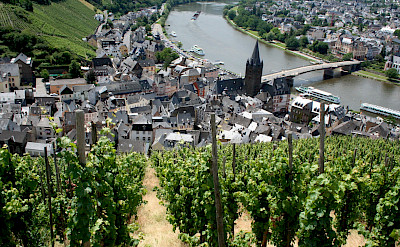 Mosel River Valley vineyards by Bernkastel-Kues, Germany. Flickr:Megan Mallen