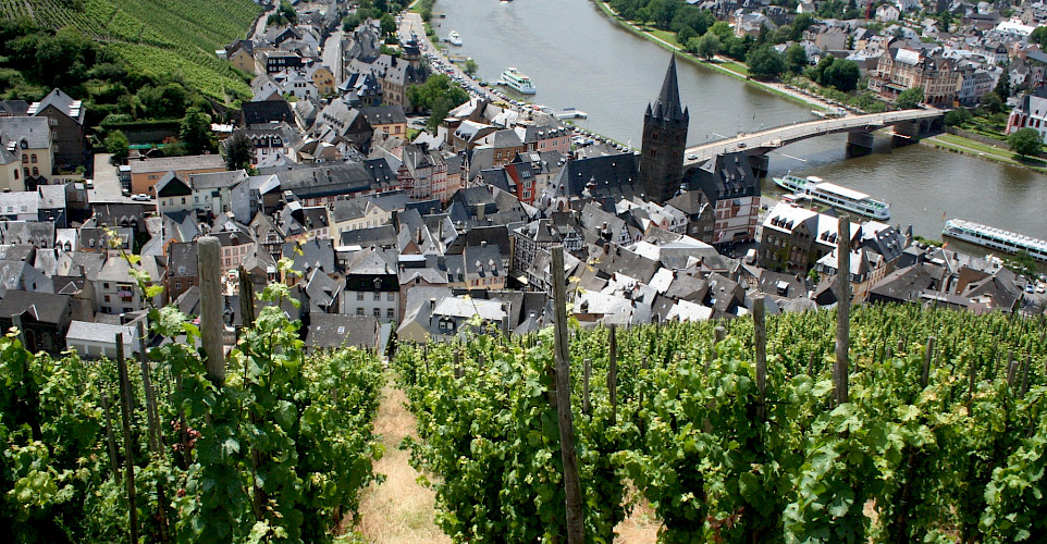 Mosel River Valley vineyards by Bernkastel-Kues, Germany. Flickr:Megan Mallen