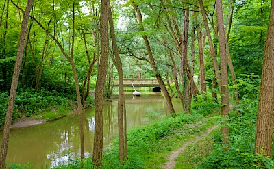 Shady forest paths along the Mur Cycle Path. toEB