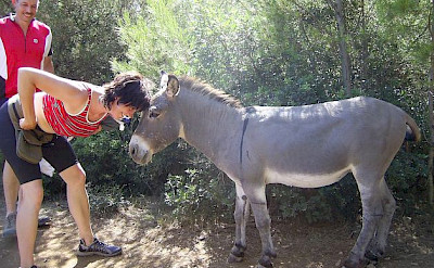 Saying hello to the locals in Dalmatia. Photo by Isabelle Nyffenegger