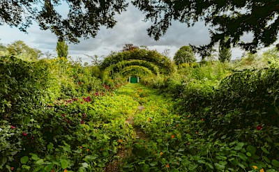 Bowers in Giverny, France. Unsplash@Alin Gavriliuc