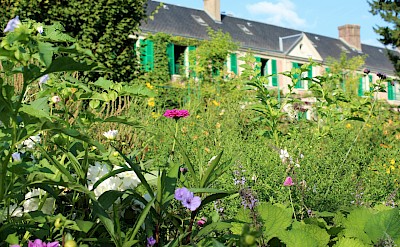 Flowers in Monet's Garden, Giverny, France. Unsplash@Mili K