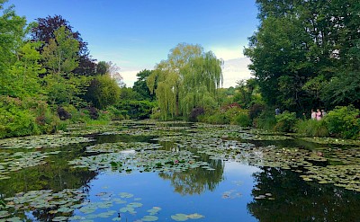 Lake in Monet's Garden, Giverny, France. Unsplash@Adora Goodenough