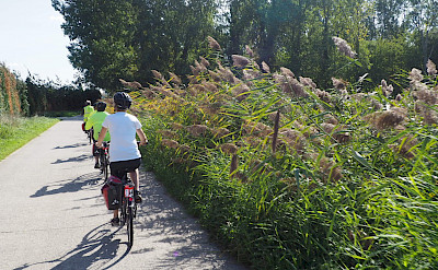 Biking in the Netherlands. ©TO