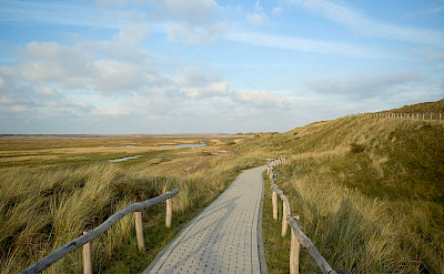 Bike path on the Frisian Island of Texel on the Wadden Sea in the Netherlands. Flickr:Johan Wieland
