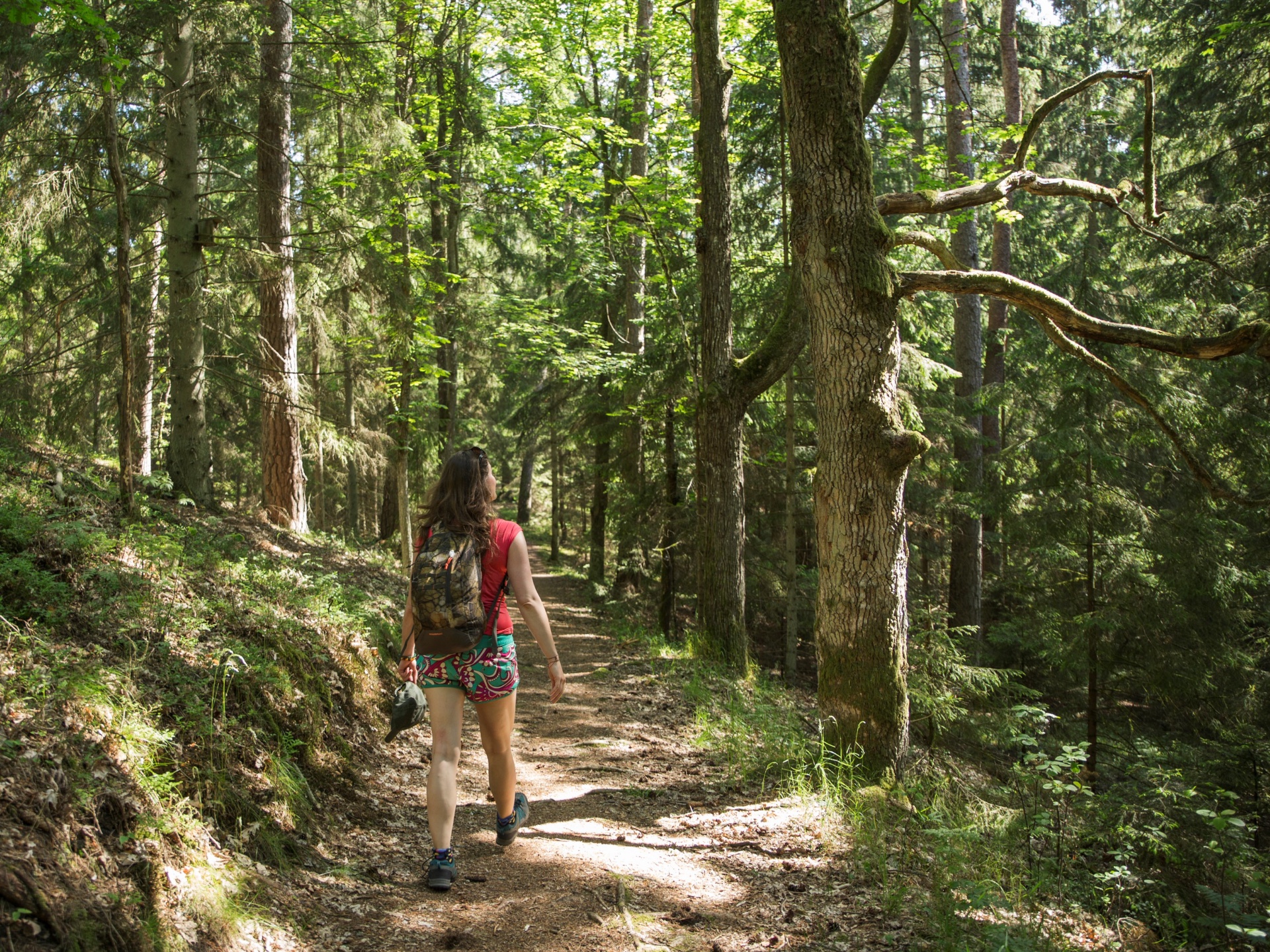 Hiking through Lithuania’s Coastal Treasures Lithuania Tripsite