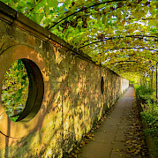 Main Trail Photo