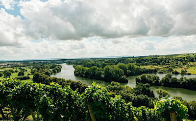 Vineyards and green valleys around Volkach, Germany. Flickr:Mark Usspiske