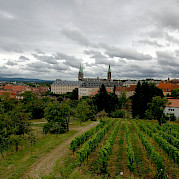 Main Trail Photo
