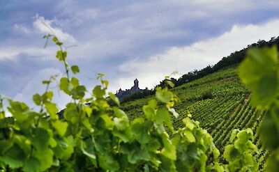 Alsatian vineyards en route! Unsplash:Victor Bouton