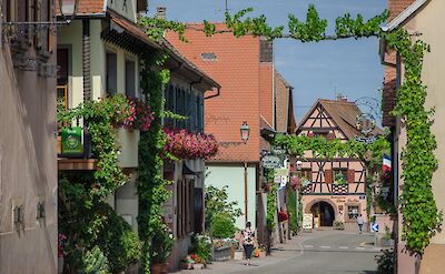 Biking around Alsace, France. Flickr:Valentin R.