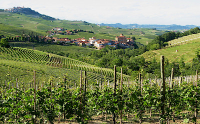 Famous Barolo wine region in the Piedmont, Italy. Flickr:Roberto Ferrito