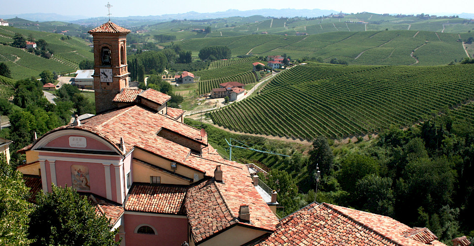 View from the wine museum in Barolo, Piedmont, Italy. Flickr:Megan Cole