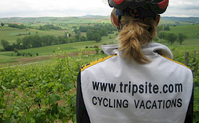 TripSite's Carla overlooking the Piedmont vineyards.