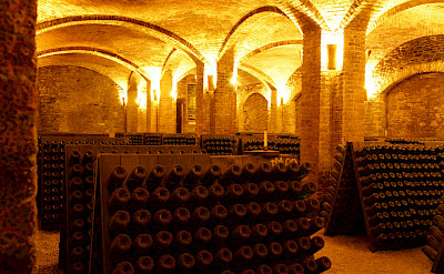 Wine cellars to visit in the Piedmont region of Italy. ©Photo via TO