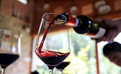Wine tasting in the Piedmont region of Italy. ©Photo via TO
