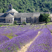 Viaje a Provenza – Luberon Foto