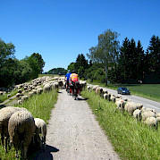 Danube Bike Path - Regensburg to Passau Photo