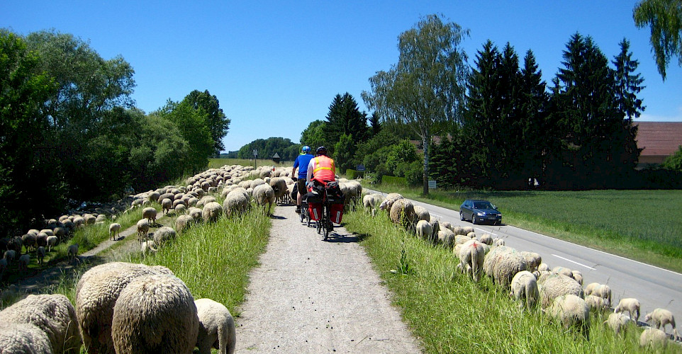 cycling along the danube