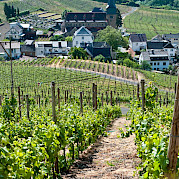 Remagen - Rhine Valley Photo