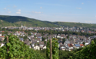Wine-growing region of Ahrweiler, Germany. Flickr:a froese