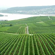 Remagen - Vale do Reno Foto