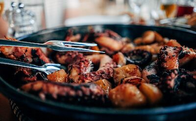 Marinated grilled octopus. Photo by jesse-hanley via Unsplash