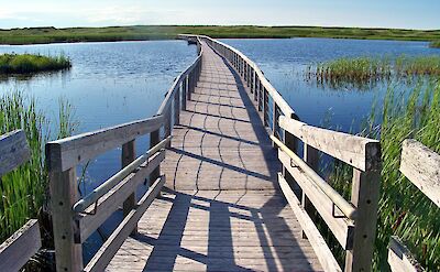 Greenwich Dunes Trail, Prince Edward Island, Canada. Flickr:Larry