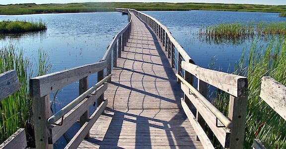 Greenwich Dunes Trail, Prince Edward Island, Canada. Flickr:Larry