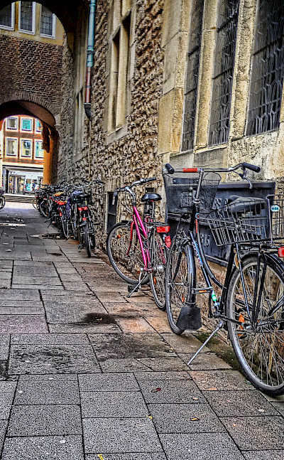 Bicycles in Münster, Germany. Flickr:Xavi