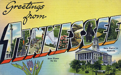 Tennessee postcard circa 1940. Flickr:Steve Shook