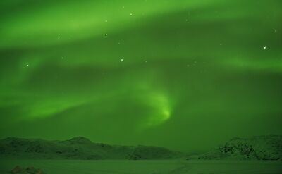 Northern Lights in Greenland! Flickr:Tobias Van Der Elst