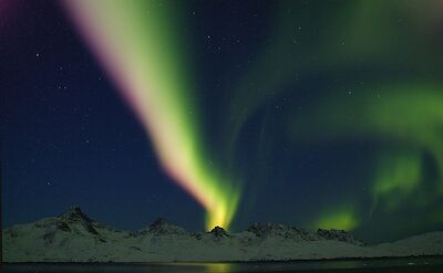 Northern Lights in Greenland! Flickr:Greenland Travel