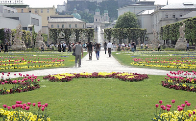 Mirabell Palace & Gardens in Salzburg, Austria. Flickr:SteveLage 47.80554406334598, 13.042134080497185