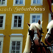 Salzburg to Vienna Photo