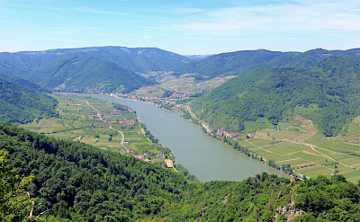 Danube River in Wachau wine-growing region, Austria. Wikimedia Commons:bwag