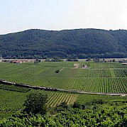 Salzburg to Vienna Photo
